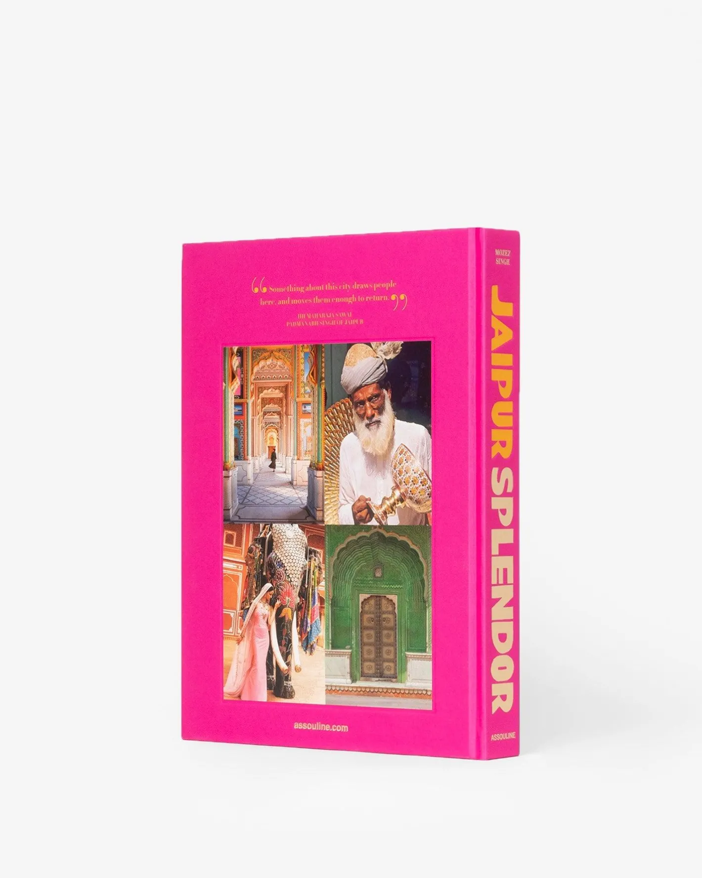 ASSOULINE Jaipur Splendor^ Travel