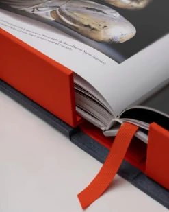 ASSOULINE Koyasan: Senju's Works of Art 1,200 Years After Kūkai^ Art