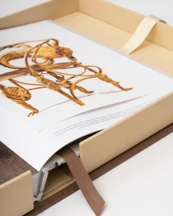 ASSOULINE Lalanne: A World of Poetry^ Art