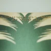 ASSOULINE Saudi Dates: A Portrait of the Sacred Fruit^ Food & Drink