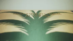 ASSOULINE Saudi Dates: A Portrait of the Sacred Fruit^ Food & Drink