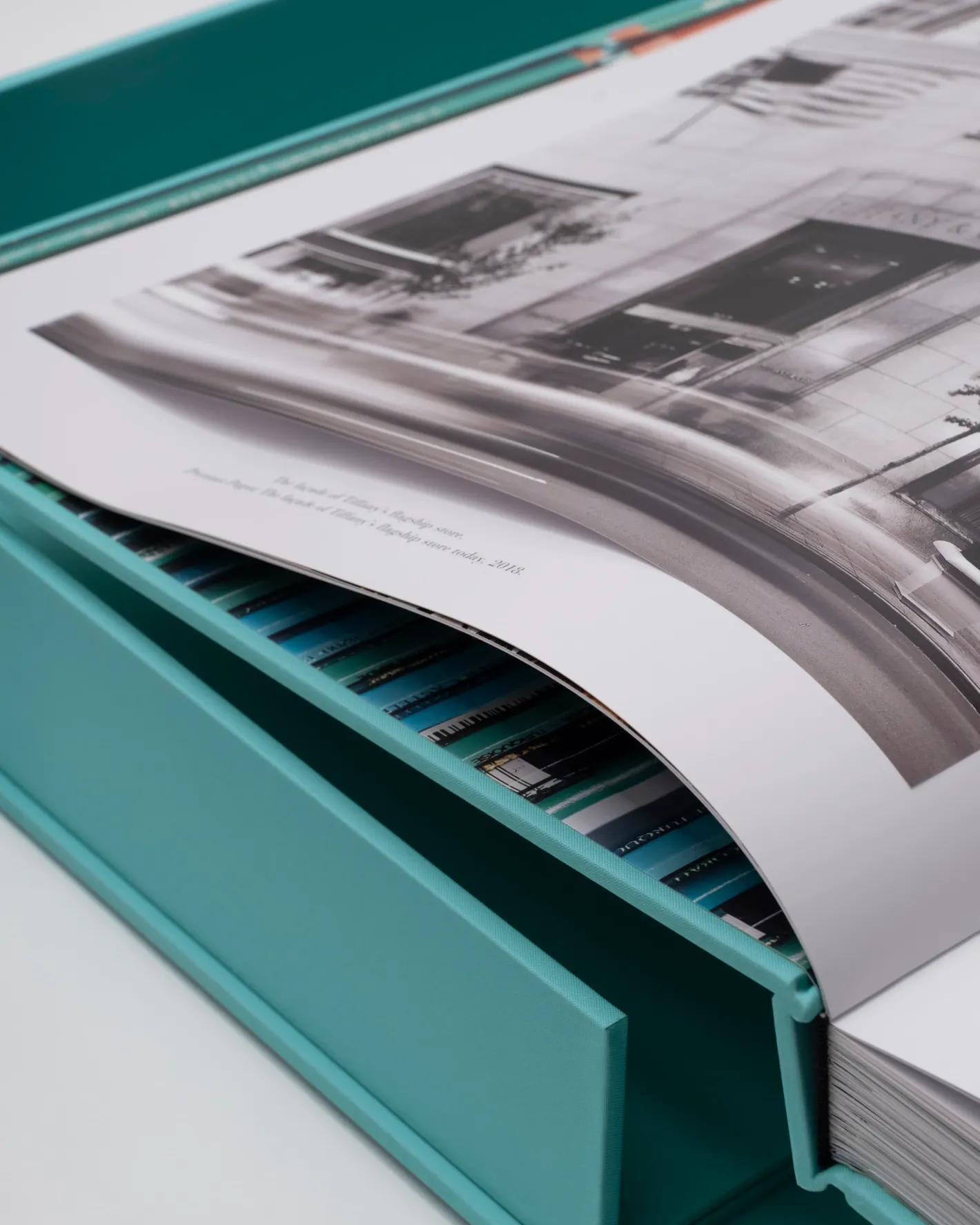 ASSOULINE Windows at Tiffany & Co.^ Iconic Brands|Jewelry & Watches